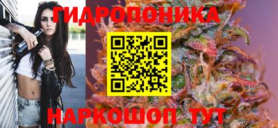 тгк Кандалакша