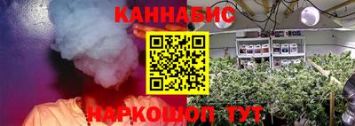 ГАЛЛЮЦИНОГЕННЫЕ ГРИБЫ Канаш