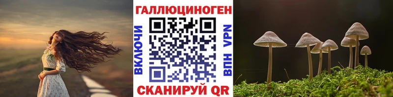 MEGA ссылки  купить   Нарткала  Псилоцибиновые грибы GOLDEN TEACHER 